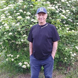 , 61 , 