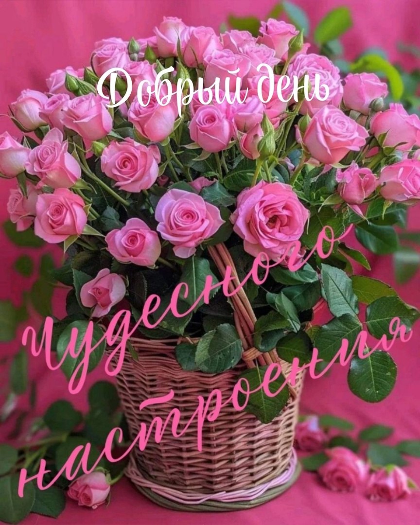  "" 99%    ,   ,   ... - 3