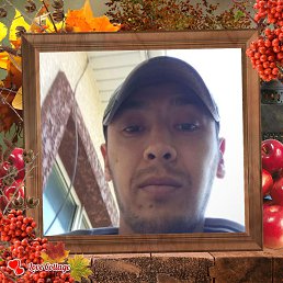 , 32, 