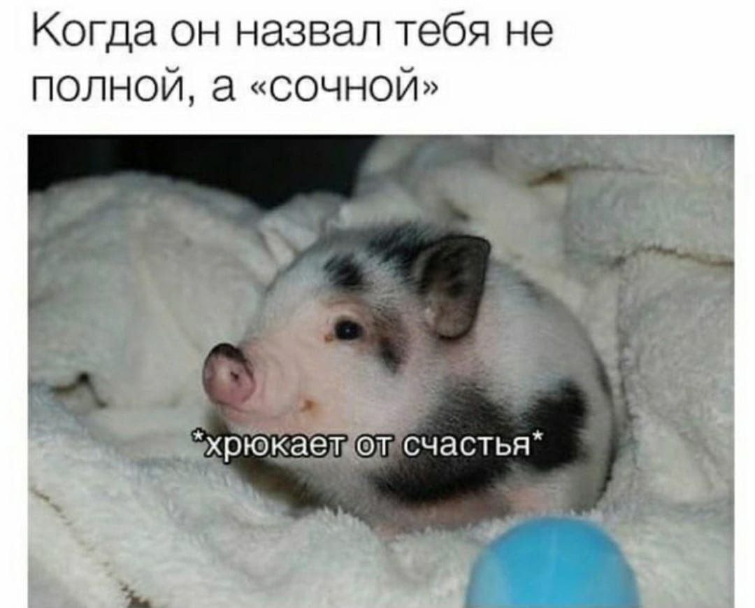  - 4  2025  18:50