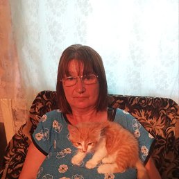 , 61, 