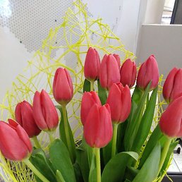 �������, ������, 58 ���