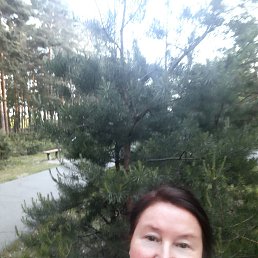 , 63, 