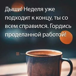 ���� ����, ���������, 40 ��� - ��������� 24 ������ 2026