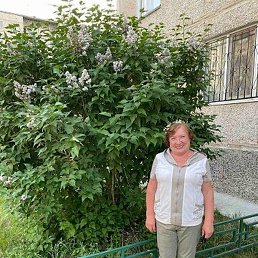 ������, �����������, 66 ���