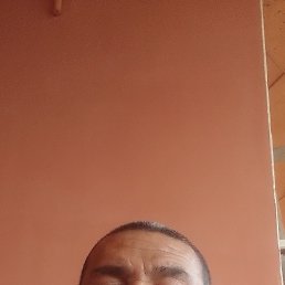 , 52, 