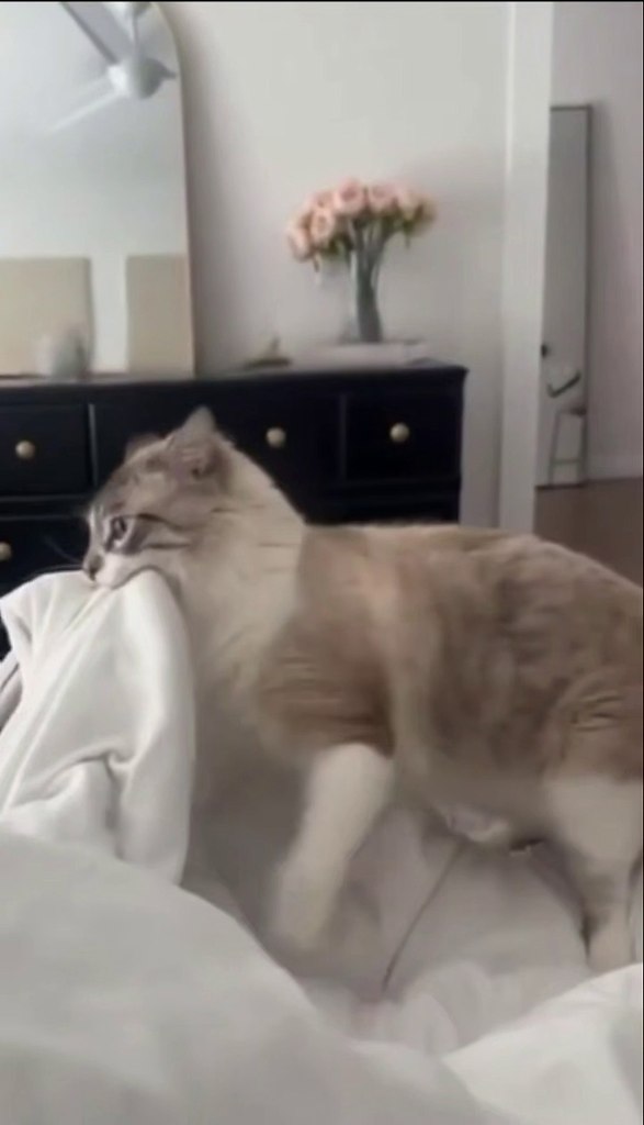 ����� �� ����� ��� 8 ����, � ������������� ������� �� ��� ����) - 2