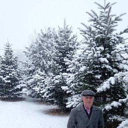 ������, �������, 62 ����