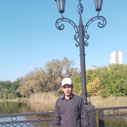 �������, ������, 41 ���