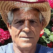 , 55 , 