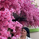 ���� ������, ���������, 50 ��� - ��������� 20 ������� 2024 � ������ ���� ����������