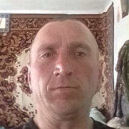 ���������, ������, 41 ���