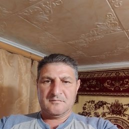 , 50, 