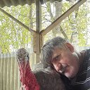 ���� ����� ������, ������, 56 ��� - ��������� 29 ��� 2025 � ������ ���� ����������