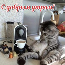 �������, ���������, 44 ����