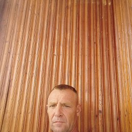 , 43 , 