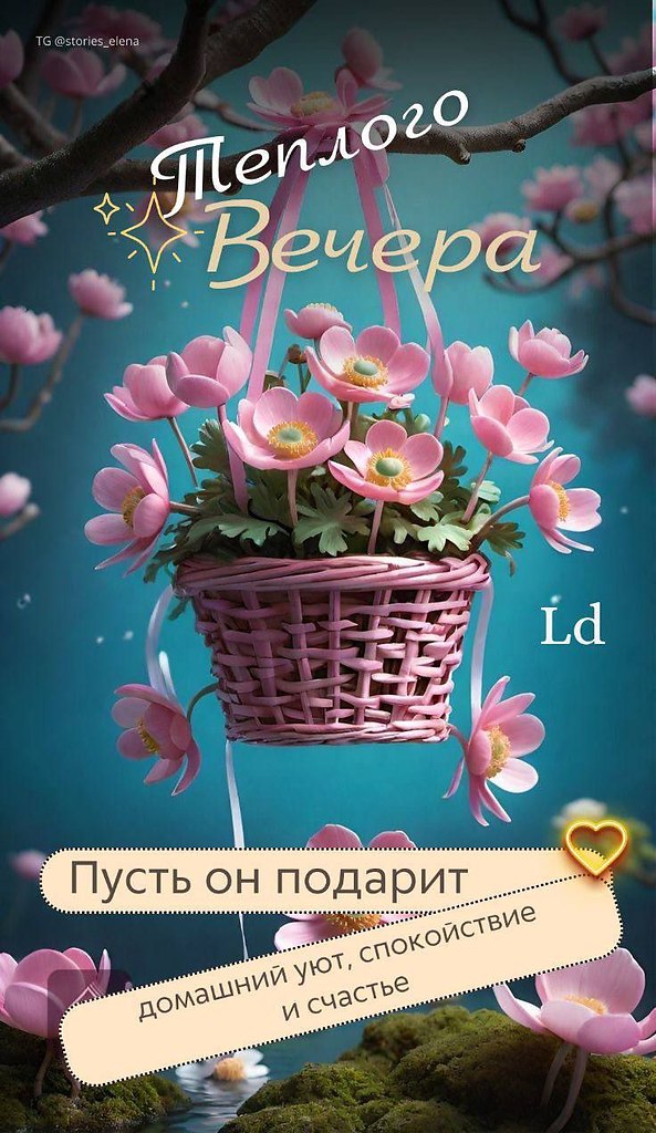   ,    . - 12  2025  20:09 - 3