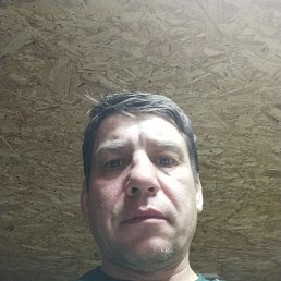 ����, 45 ���, ����������