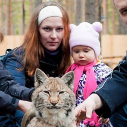 �������, ������������, 38 ���