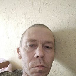 ��������, 41 ���, ������