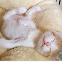 ���� ���������, ������, 47 ��� - ��������� 6 ������ 2025 � ������ ���� ����������