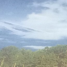 Andre, �������, 55 ���