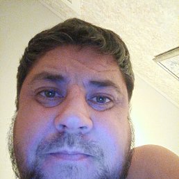 ����, 42 ����, �������