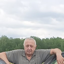 , 65, 