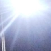 ����, 41 ���, �����