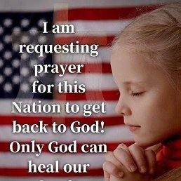 ���� ������, ����, 41 ��� - ��������� 8 ������� 2026