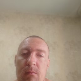 , 41,  