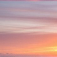 �����, 38 ���, ������