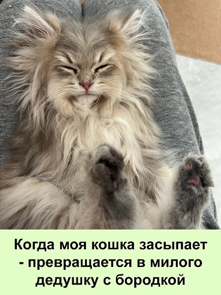����� �������������� ��������, ������� � �����-���� ������