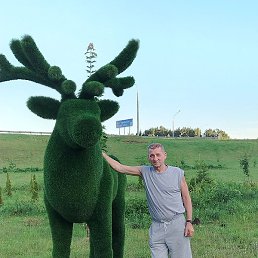 ����, ������, 59 ���