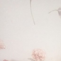 ������, ����, 27 ���