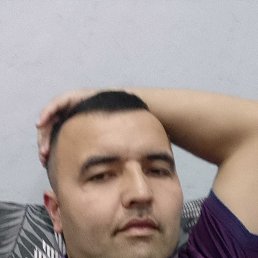 , 33 , 