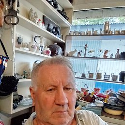 , 61 , 