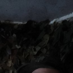 , 18, 