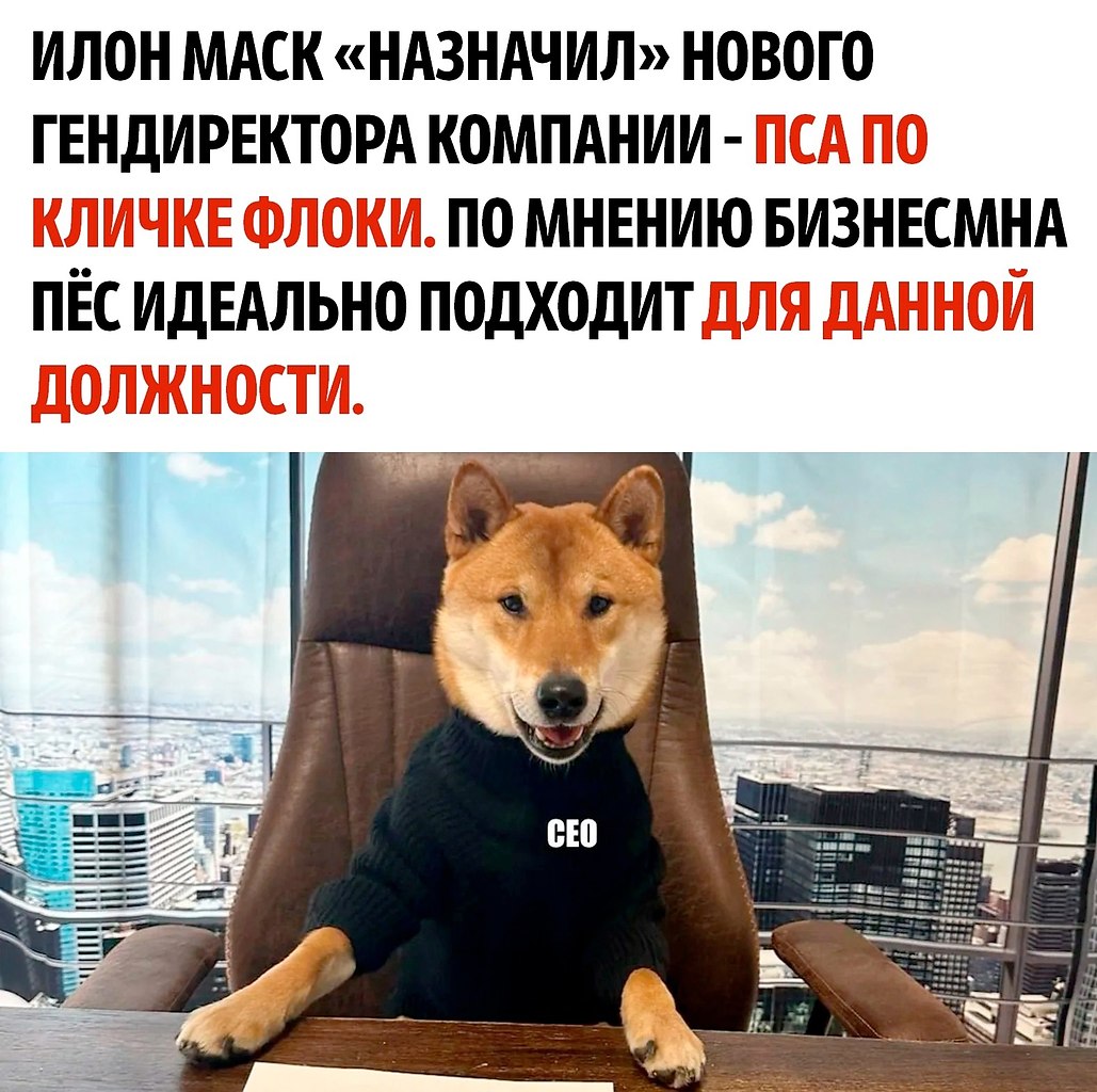   ,     ,    ... ...
