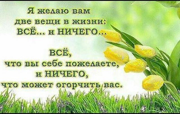   - 28  2025  10:41
