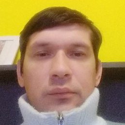 ����, ������, 41 ���