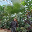 ���� �������, �����, 38 ��� - ��������� 8 ������� 2026 � ������ ���� ����������