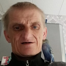 , , 53 