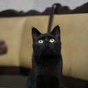 ���� ��������, ����������� - ��������� 30 ����� 2026 � ������ ���� ����������