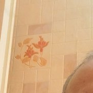 ��������, 54 ����, �������