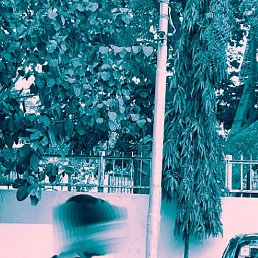 Yash, ����, 18 ���