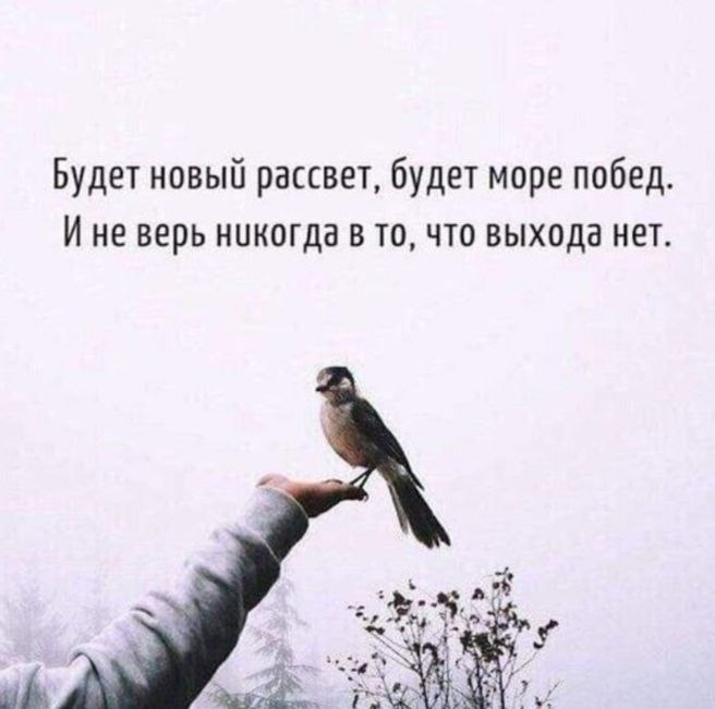   - 23  2025  20:29