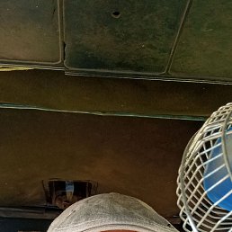 , 46, 