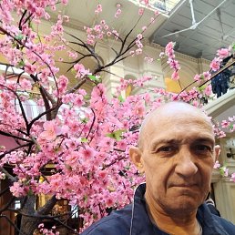 , 52, 