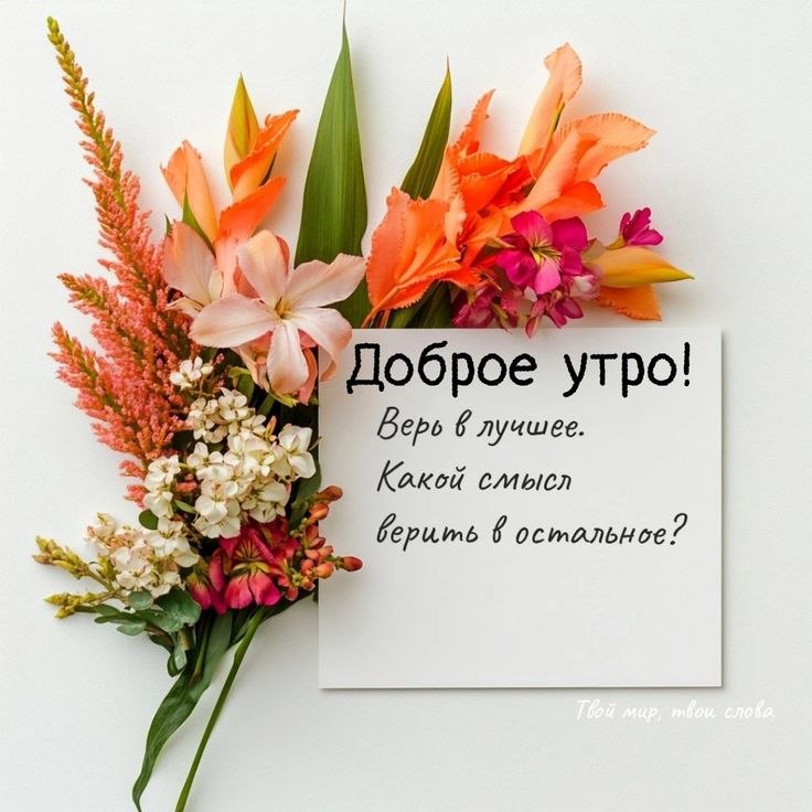   ,    . - 5  2025  00:01
